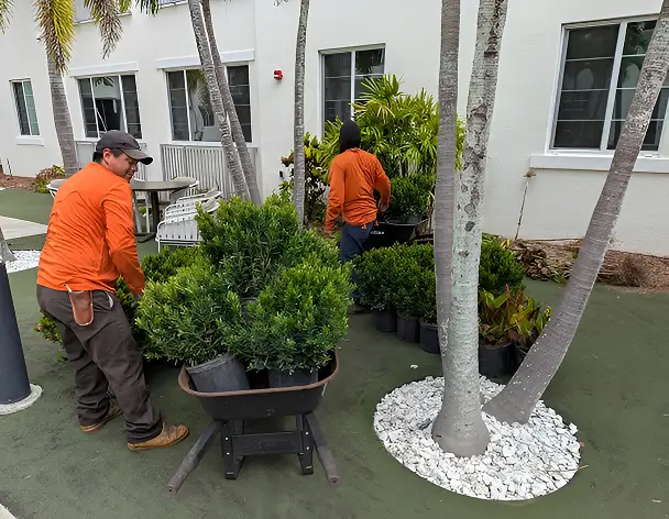 Workers Installing Potted Shrubs In Commercial Courtyard