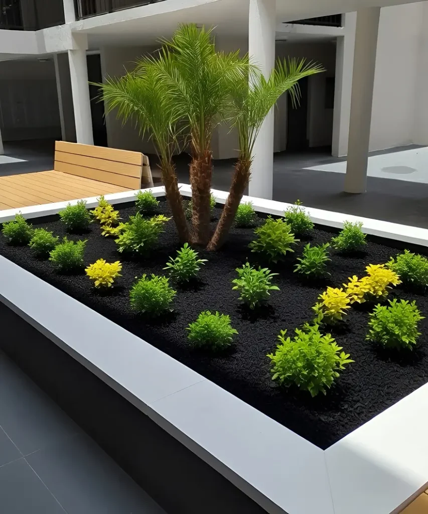 Contemporary Planter with Palms and Black Mulch