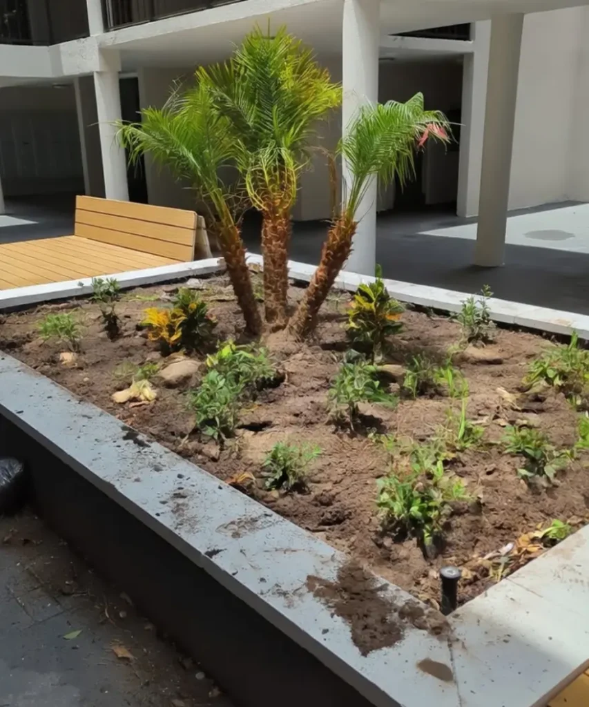 Garden Bed During Planting Installation