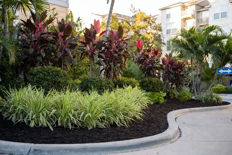 After: Tropical Landscaping With Red Cordylines And Lush Garden Bed