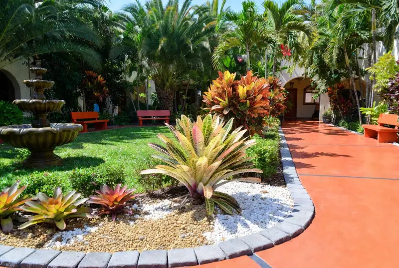 After: Bromeliad Garden With Stone Pathway Fountain And Palm Trees
