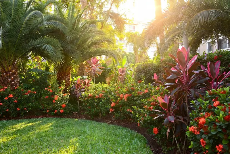 After: Lush Tropical Garden With Palm Trees And Red Ixora Flowers