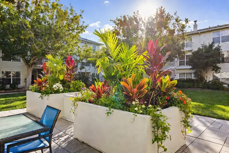 After: Colorful Tropical Plants In White Raised Planters At Apartment