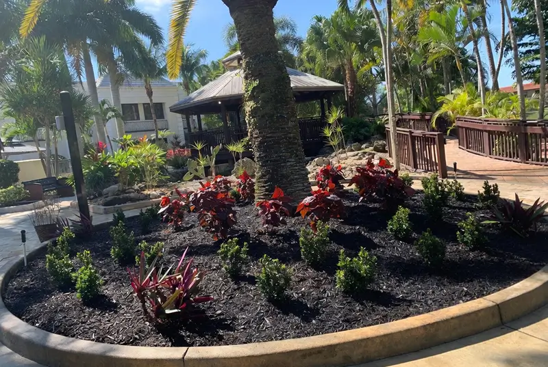 Before: Tropical Garden Bed With Palm Trees And Gazebo