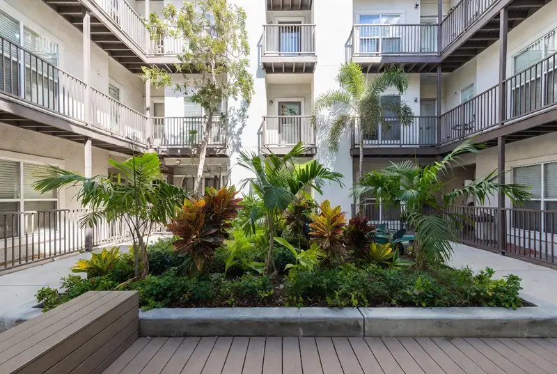 Before: Lush Tropical Courtyard Garden Of Apartment Complex