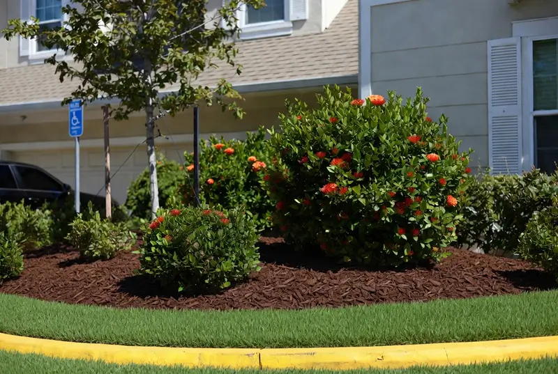 Before Landscape With Vibrant Flower Beds And Clean Lawn Edging