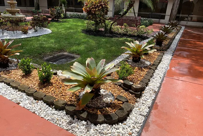 Before: Bromeliad Garden With Stone Pathway Fountain And Palm Trees
