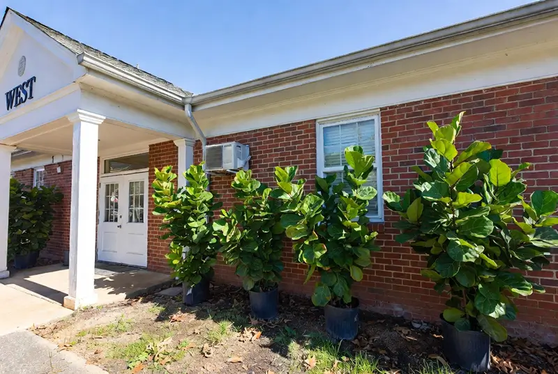 Before: Overgrown Shrubs Along Brick House Foundation And Lawn