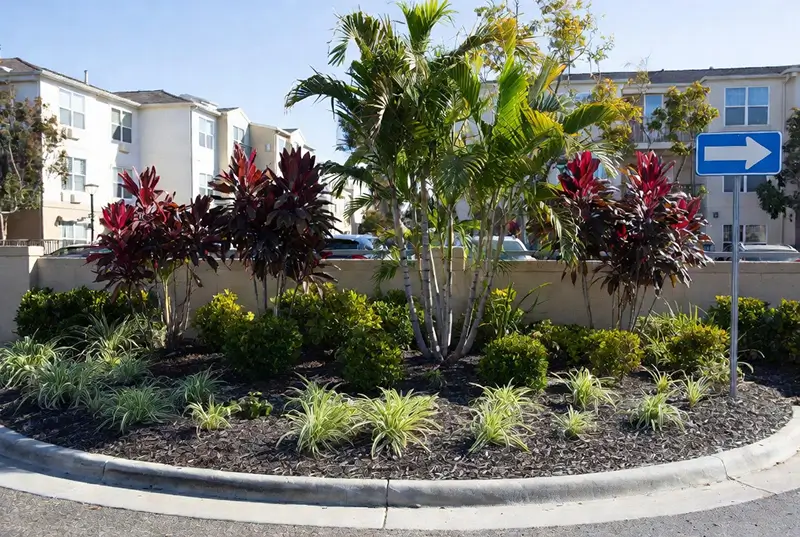 Before: Tropical Landscaping With Red Cordylines And Lush Garden Bed