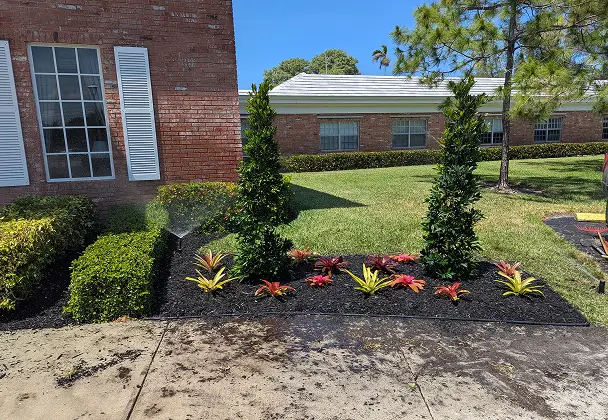 Landscaped garden with shrubs and lawn outside building