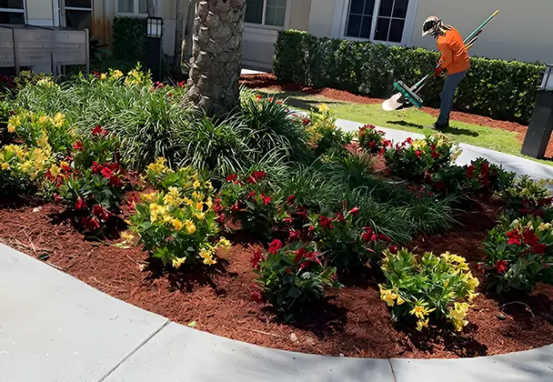 Professional Landscaping Experts