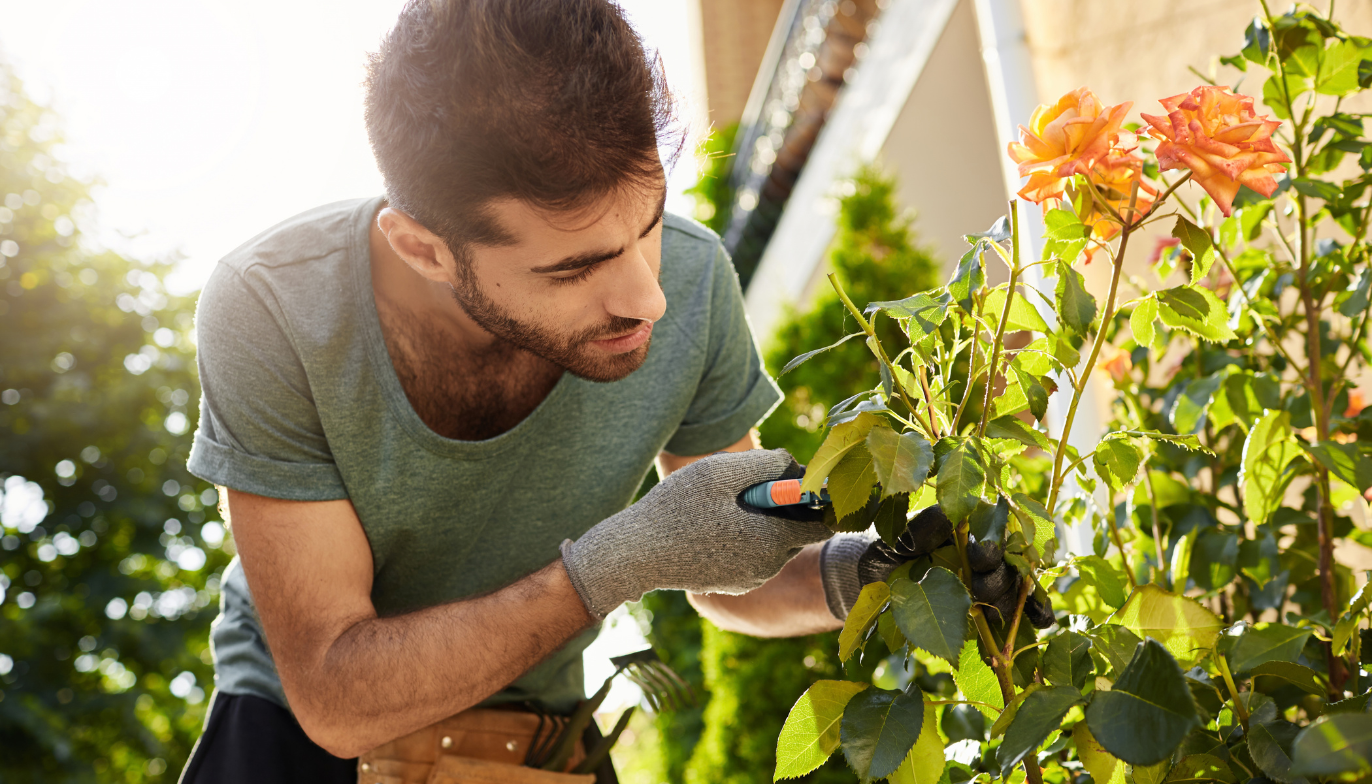 How Regular Landscaping Supports Long-Term Property Maintenance